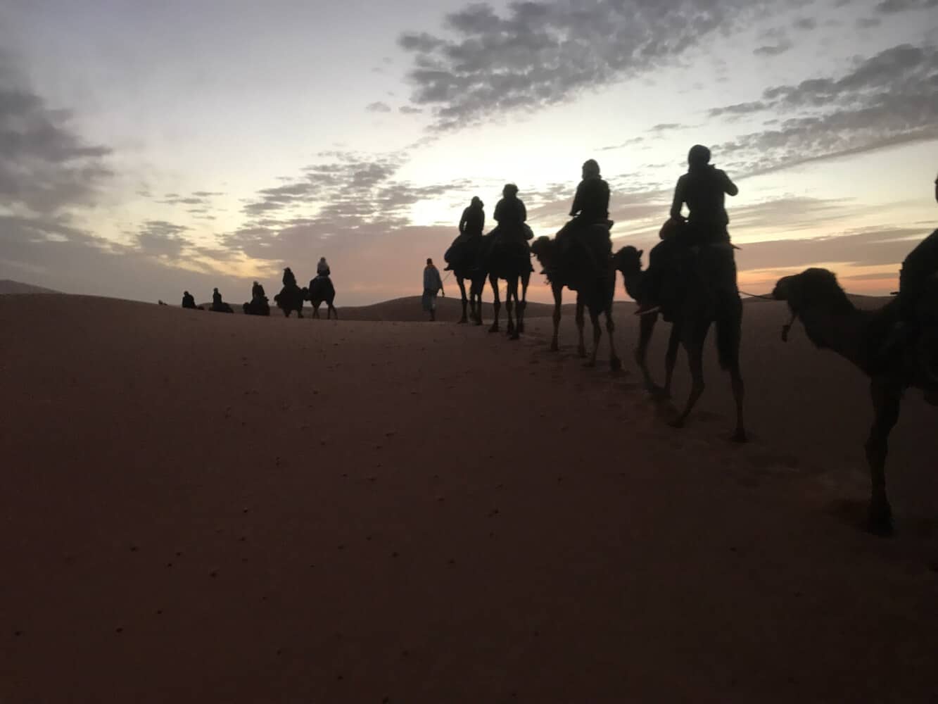 people riding camels in the desert